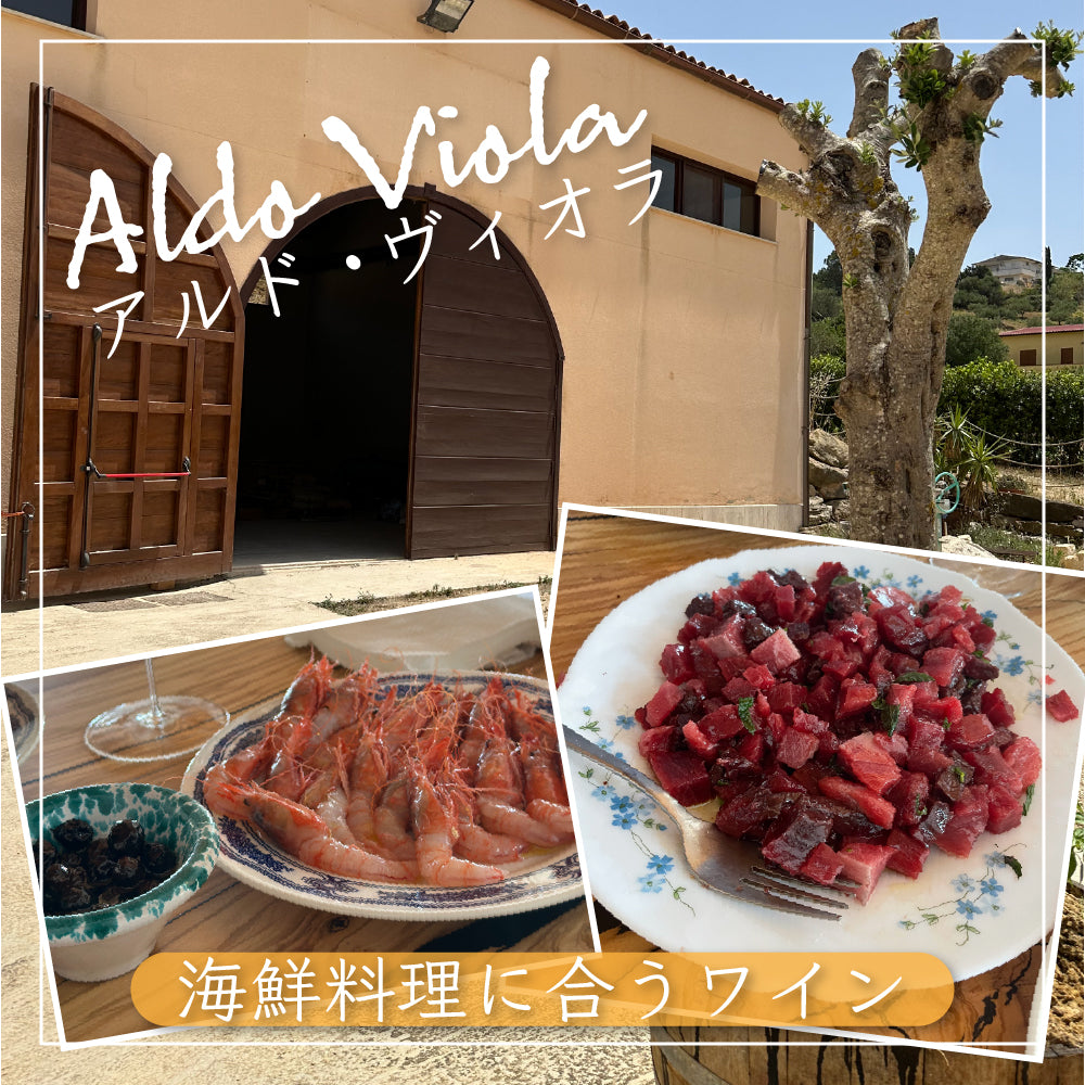 ナチュラルワイン 【 アルド・ヴィオラ 5本 セット 】(750ml×5) イタリア シチリア スパークリング 白 赤 オレンジ ワイン & 自然派ワインを楽しむためのプレヴナンオリジナル小冊子