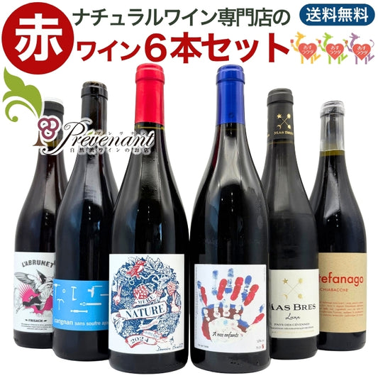 「送料・クール料込」【 赤ワイン 6本セット 】 ナチュラルワイン 自然派ワイン( 赤 )セット(750ml×6本) 自然派ワイン ナチュールワイン & 自然派ワインを楽しむためのオリジナル小冊子