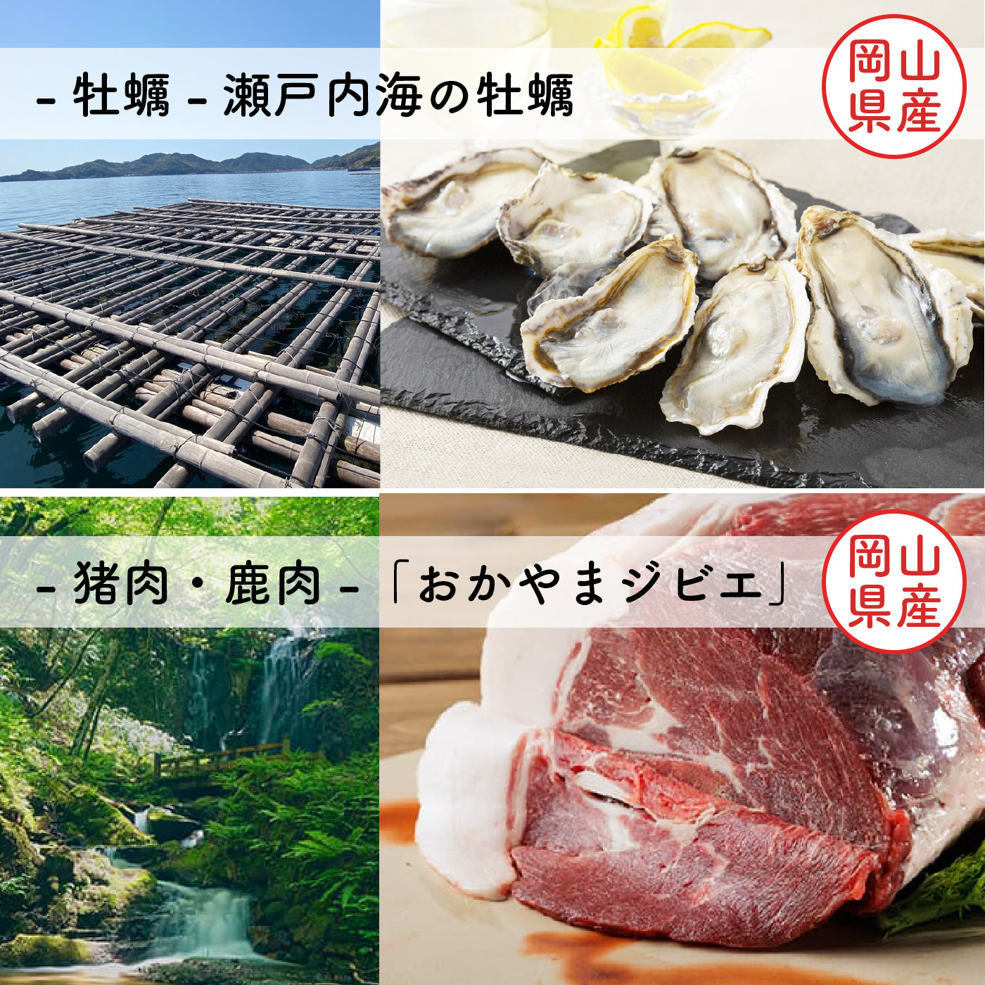 【冷凍】 米粉のミニキッシュ ギフト箱 入り【 メメシルヴィのミニキッシュ 】岡山県産 有機野菜 & おかやまジビエ 猪肉 鹿肉 牡蠣 グルテンフリー 米粉 無添加 ギフト プレゼント お土産