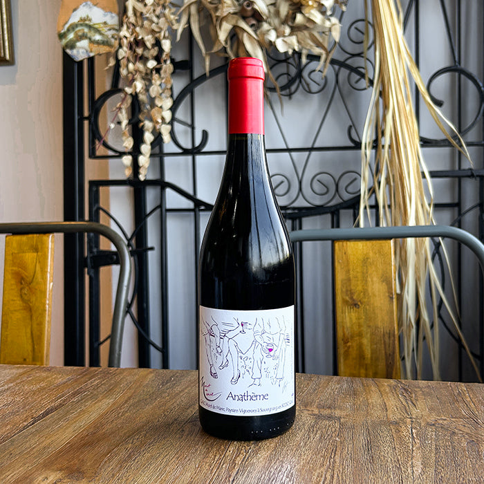 【無添加】モン・ド・マリー [ アナテム・ルージュ ] フランス ラングドック 赤ワイン ミディアム（750ml）＆ 自然派ワインを楽しむためのオリジナル小冊子【8月限定特価】