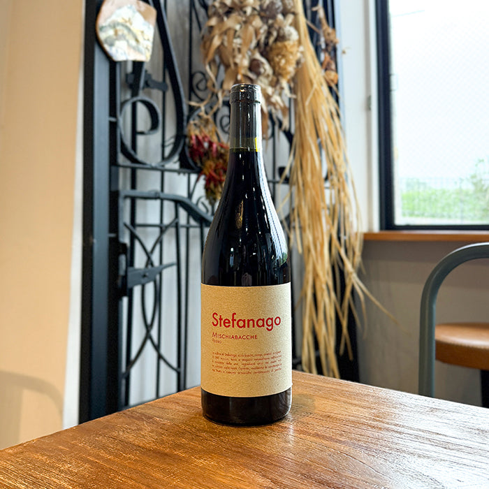 A.A. カステッロ・ディ・ステファナゴ [ ロッソ・パヴィア ] イタリア 赤ワイン ミディアム （750ml） ナチュラルワイン 自然派ワイン ナチュールワイン ビオワイン オーガニックワイン オーガニック 無農薬