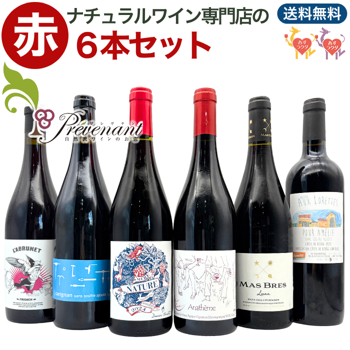 「送料・クール料込」【 赤ワイン ６本セット 】 ナチュラルワイン 自然派ワイン（ 赤 ）セット（７５０ml×６本） 自然派ワイン ナチュールワイン ＆ 自然派ワインを楽しむためのオリジナル小冊子