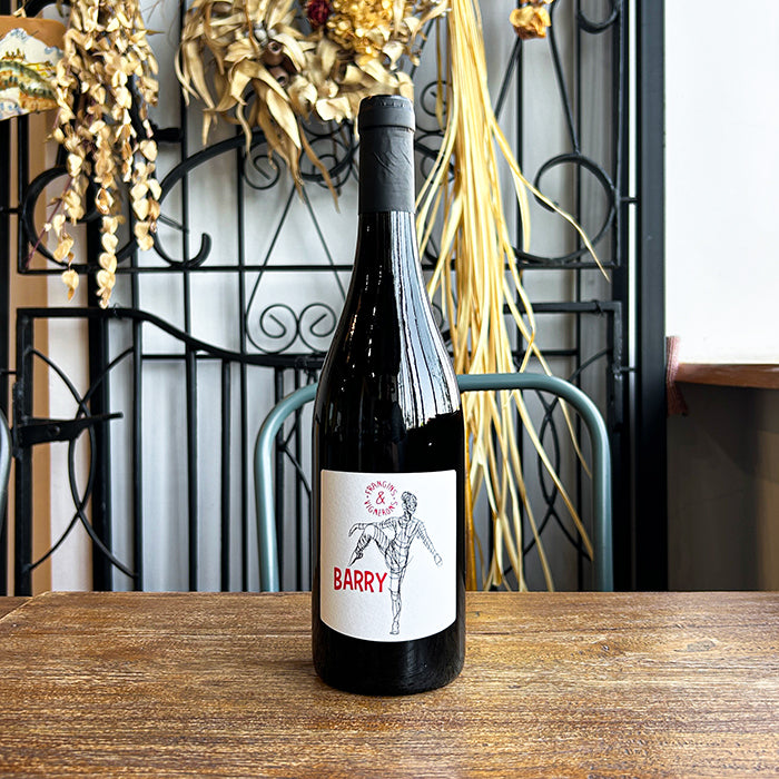 【無添加】オジル [ バリー ] フランス ローヌ 赤ワイン（750ml） ナチュラルワイン ＆自然派ワインを楽しむためのオリジナル小冊子