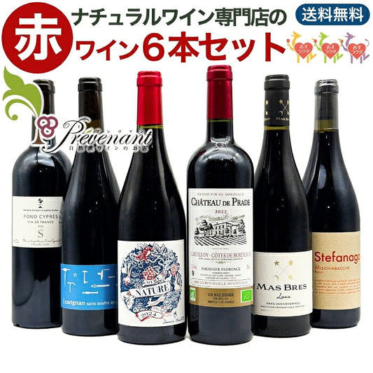 「送料・クール料込」【 赤ワイン ６本セット 】 ナチュラルワイン 自然派ワイン（ 赤 ）セット（７５０ml×６本） 自然派ワイン ナチュールワイン ＆ 自然派ワインを楽しむためのオリジナル小冊子