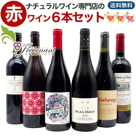 「送料・クール料込」【 赤ワイン ６本セット 】 ナチュラルワイン 自然派ワイン（ 赤 ）セット（７５０ml×６本） 自然派ワイン ナチュールワイン ＆ 自然派ワインを楽しむためのオリジナル小冊子