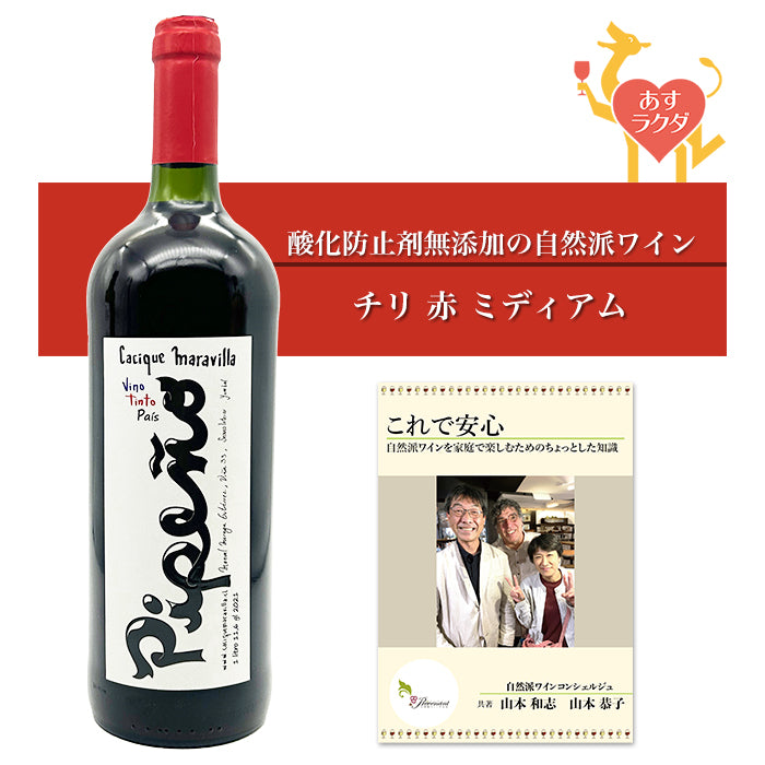 【無添加】カスィック・マラヴィッリャ [ ピペーニョ ] チリ 赤ワイン ミディアム（1000ml）＆ 自然派ワインを楽しむためのオリジナル小冊子