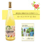 クリスティーナ・ワインズ [ グリューナー・ヴェルトリーナー ] オーストリア 白ワイン 辛口（750ml）ナチュラルワイン ＆ 自然派ワインを楽しむためのオリジナル 小冊子