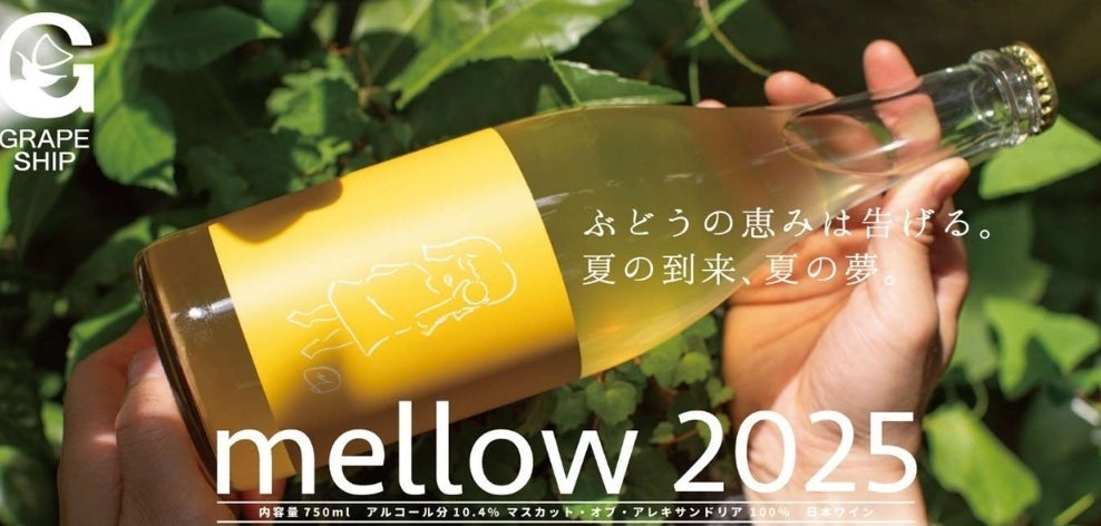 GRAPE SHIP（松井一智） [ mellow [2025] イエローラベル ]【SO2無添加】