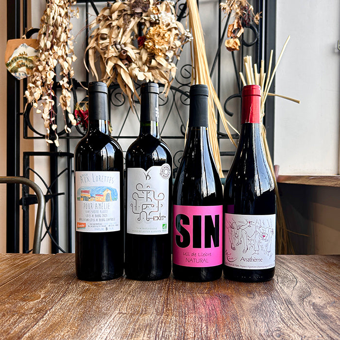 【 無添加 】 ナチュラルワイン 【 赤ワイン ４本 セット 】（750ml×4） ワインセット 赤 ワイン 無添加ワイン ＆ 自然派ワイン を楽しむための プレヴナン オリジナル小冊子 ギフト 期間限定 ホームパーティ 酸化 防止 剤 不 使用