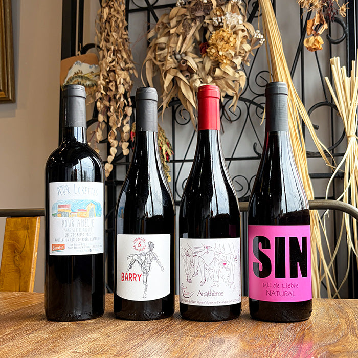 【 無添加 】 ナチュラルワイン 【 赤ワイン ４本 セット 】（750ml×4） ワインセット 赤 ワイン 無添加ワイン ＆ 自然派ワイン を楽しむための プレヴナン オリジナル小冊子 ギフト 期間限定 ホームパーティ 酸化 防止 剤 不 使用