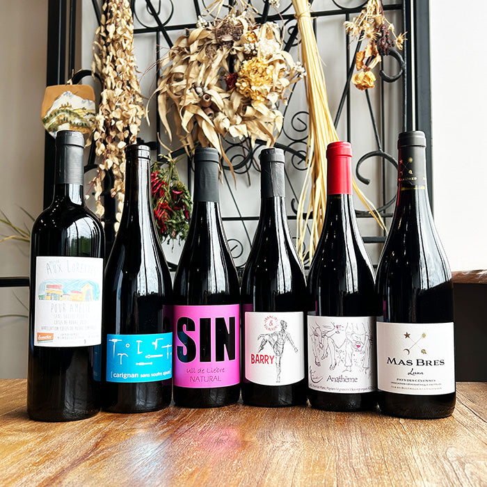 「送料無料」【 赤ワイン ６本セット 】 ナチュラルワイン 自然派ワイン（ 赤 ）セット（７５０ml×６本） 自然派ワイン フランス スペイン ＆ 自然派ワインを楽しむためのオリジナル小冊子