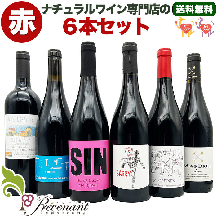 「送料無料」【 赤ワイン ６本セット 】 ナチュラルワイン 自然派ワイン（ 赤 ）セット（７５０ml×６本） 自然派ワイン フランス スペイン ＆ 自然派ワインを楽しむためのオリジナル小冊子