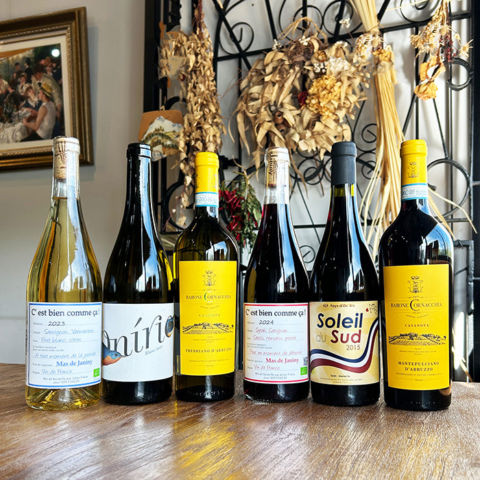 ナチュラルワイン 【 お手頃価格 ワイン ６本 セット 】（750ml×6） デイリーワイン 赤 白 ワインセット ＆ 自然派ワイン を楽しむための プレヴナン オリジナル小冊子 ギフト  ホームパーティ