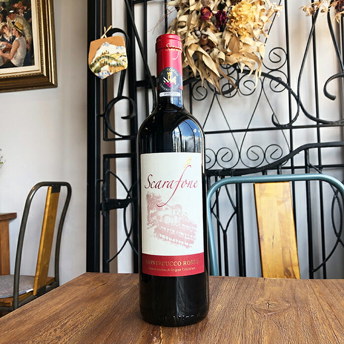 パルモレッティーノ [ モンテクッコ・スカラフォーネ ] イタリア 赤ワイン ミディアム（750ml）＆ 自然派ワインを楽しむためのオリジナル小冊子